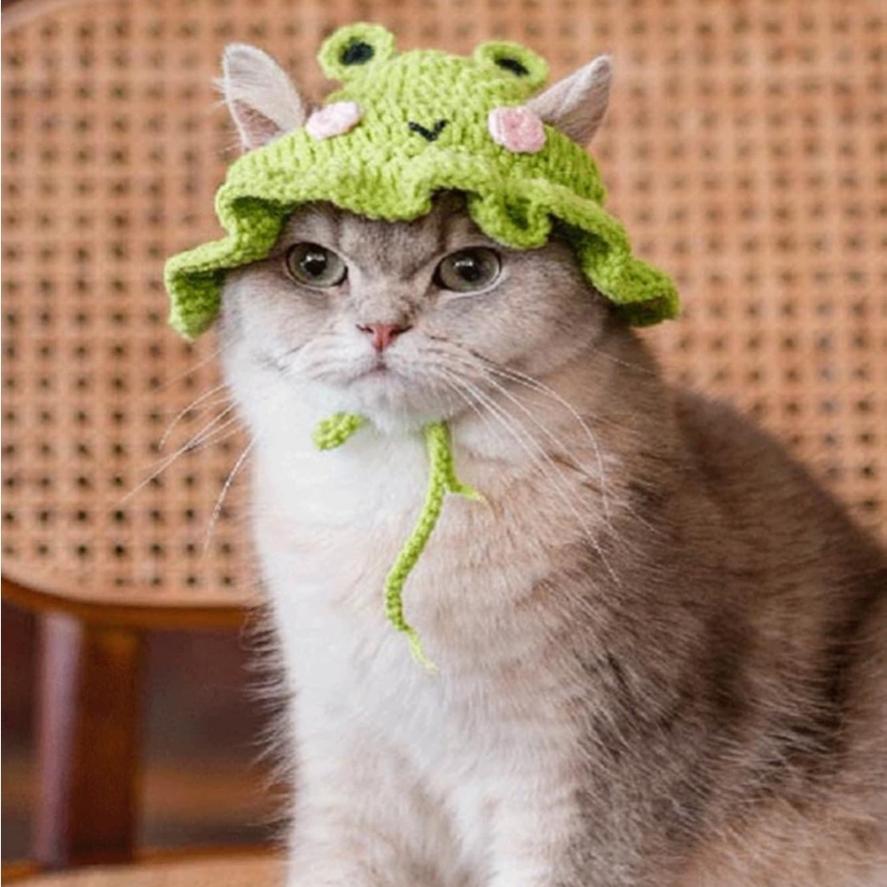 Green Crochet Cat Frog Hat with Pink Accents - Picture 3 of 4